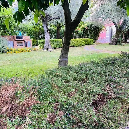 Cali-formia Bed & Breakfast *