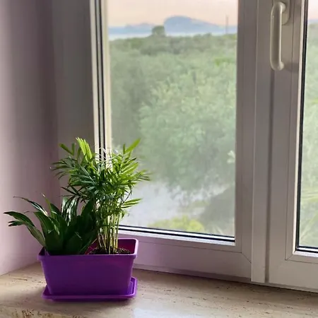 Cali-formia Bed & Breakfast *