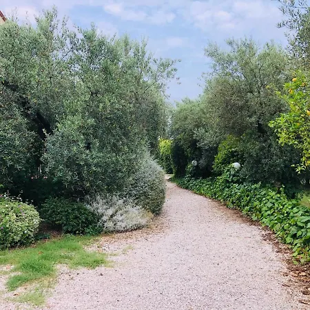 Cali-formia Bed & Breakfast *