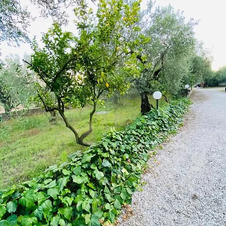 Nocleg ze śniadaniem Cali-formia Formia